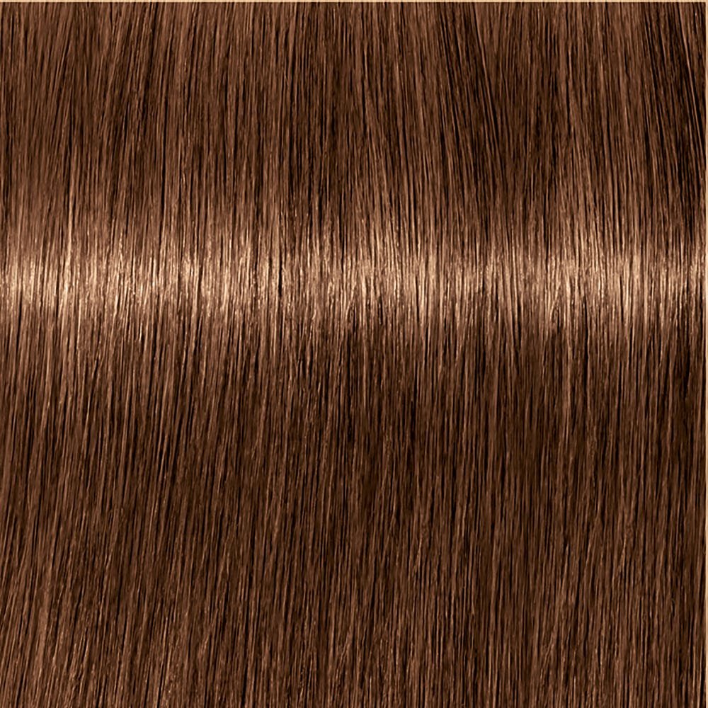 Schwarzkopf Igora Royal Absolutes 7-60 Mittelblond Schoko