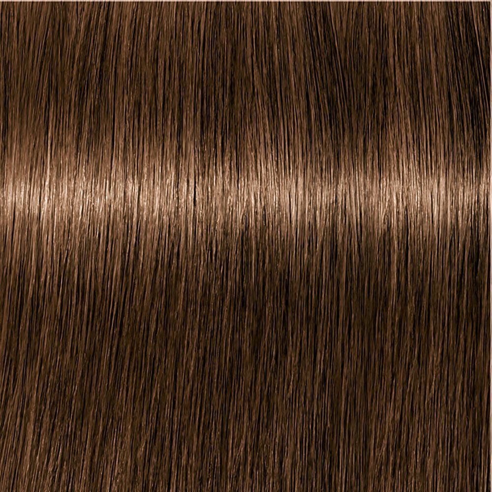 Schwarzkopf Igora Royal Absolutes 5-50 Hellbraun Gold