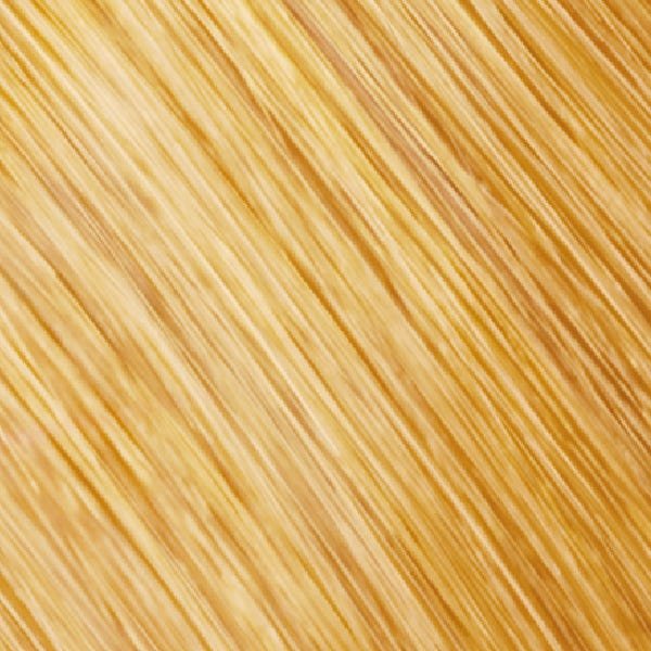 Goldwell Topchic Depot hell-hell-goldblond 9G 250 ml