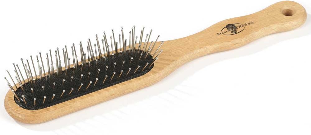 Braun & Wettberg Basisbürste Drahtstifte