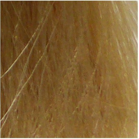 Eslabondexx Color 10.3 lichtblond extra gold 100 ml