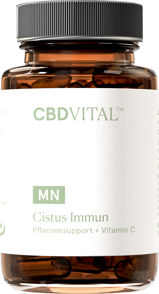 CBD VITAL Cistus Immun 60 Stück