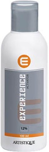 Artistique Experience Activator 12% 100 ml
