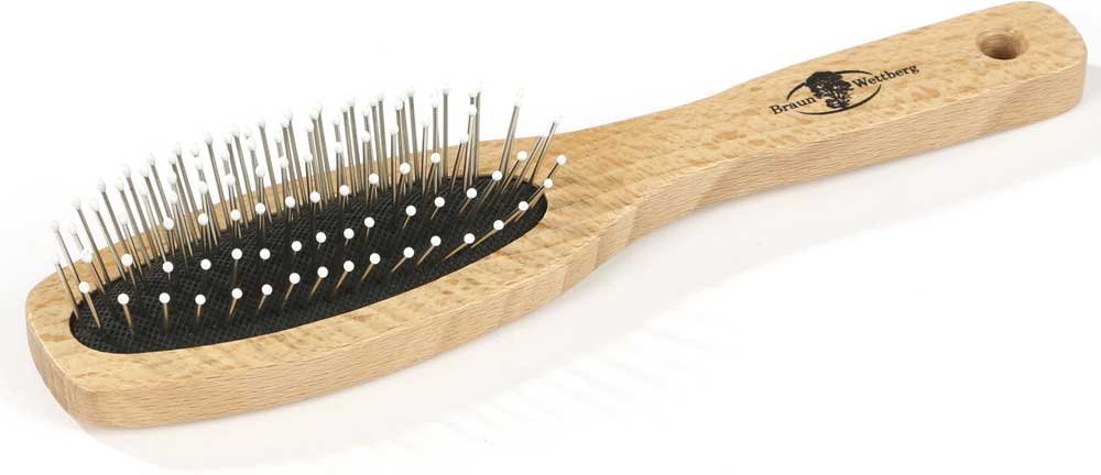 Braun & Wettberg Holzbürste - Drahtstifte