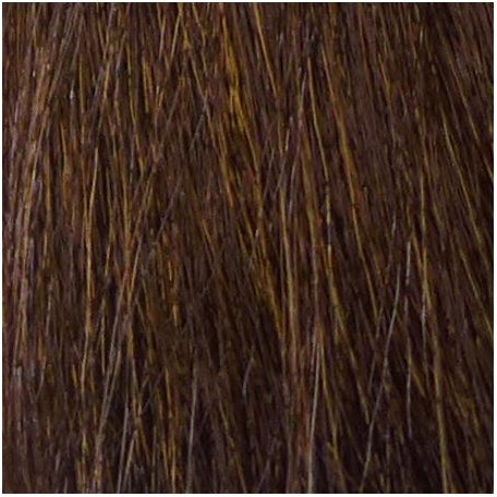 Eslabondexx Color 6.31 dunkelblond gold asch beige 100 ml