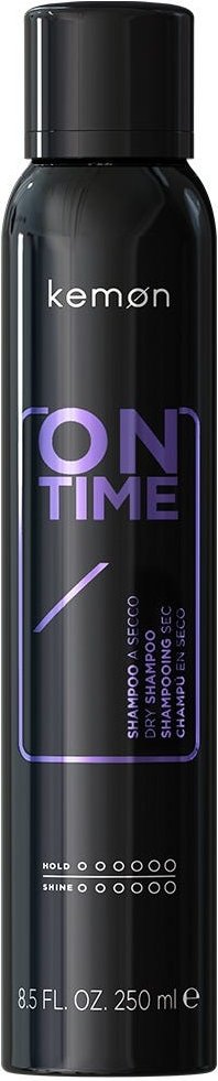 kemon Style On Time Dry Shampoo 250 ml