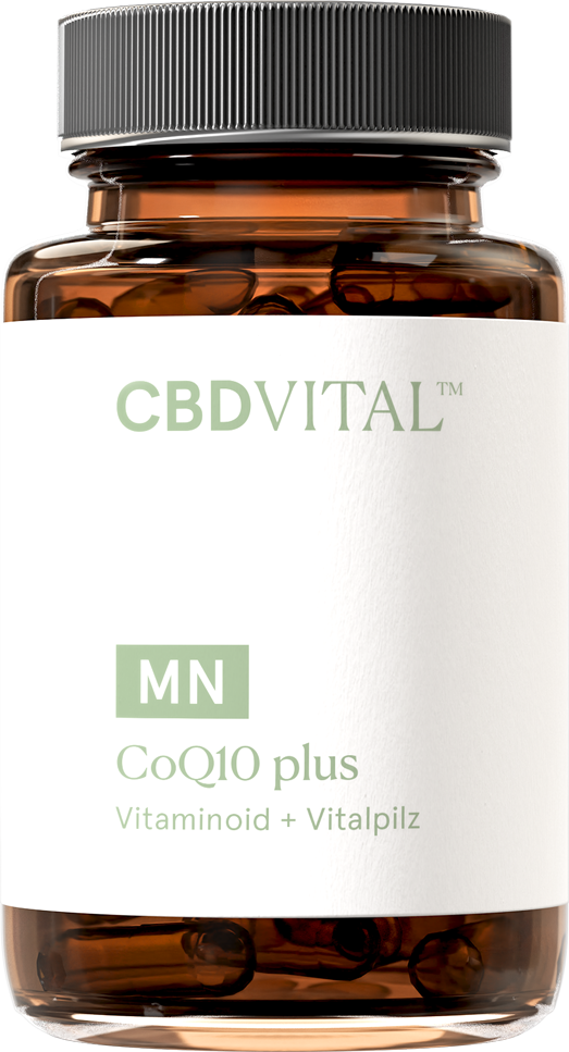 CBD VITAL Coenzym Q10 Plus 60 Stück