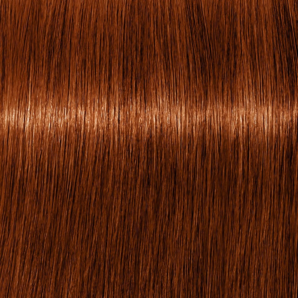 Schwarzkopf Igora Royal Absolutes 6-70 Dunkelblond Kupfer