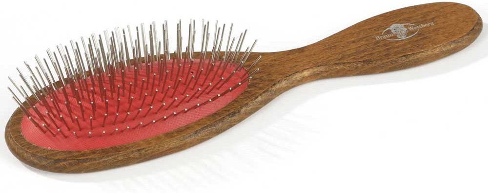 Braun & Wettberg Basisbürste ungenoppte Drahtstifte