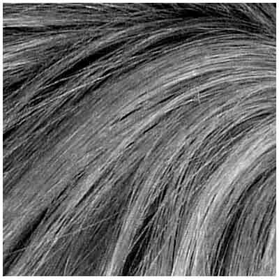 Volume Hair Fibers Grau 12 g