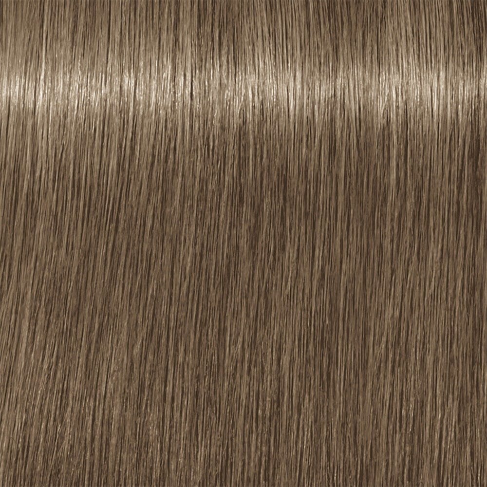 Schwarzkopf Igora RoyalFashion Lights L-24 HighlightsAsch Beige 60 ml