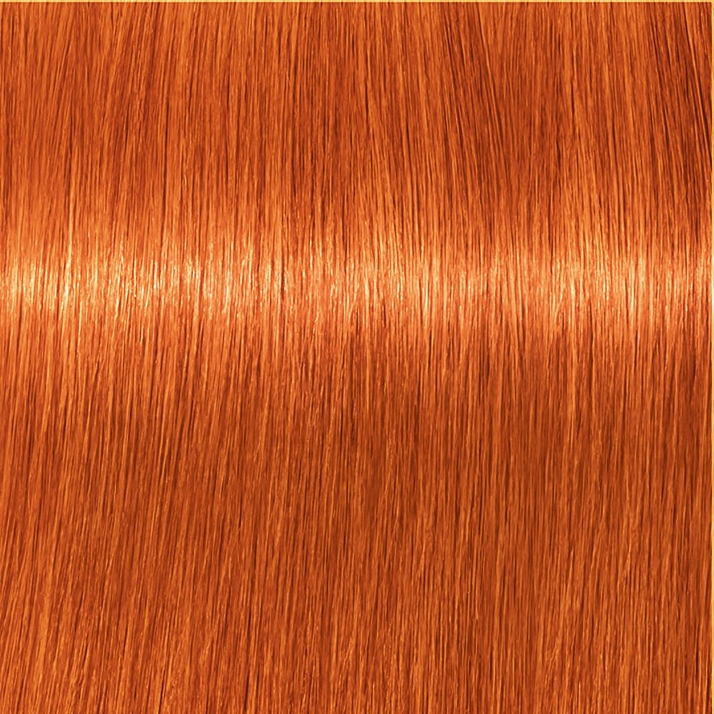 Schwarzkopf Igora Royal 8-77 Hellblond Kufper Extra