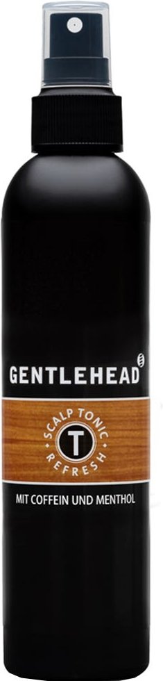 GENTLEHEAD Scalp Tonic Refresh Spray 250 ml
