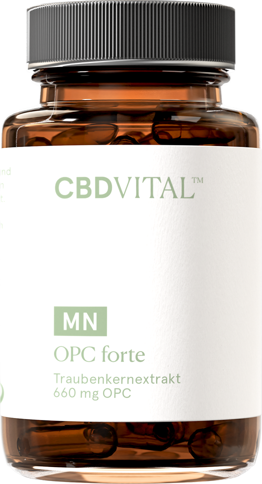 CBD VITAL OPC forte 60 Stück
