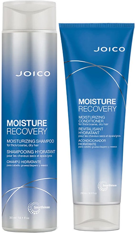 Joico Moisture Recovery Duo Bundle