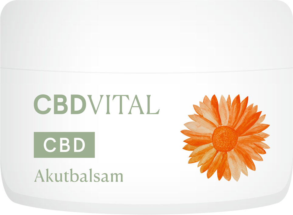 CBD VITAL CBD Akutbalsam 50 ml