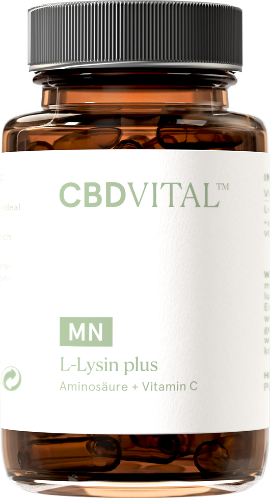 CBD VITAL L-Lysin plus 60 Stück