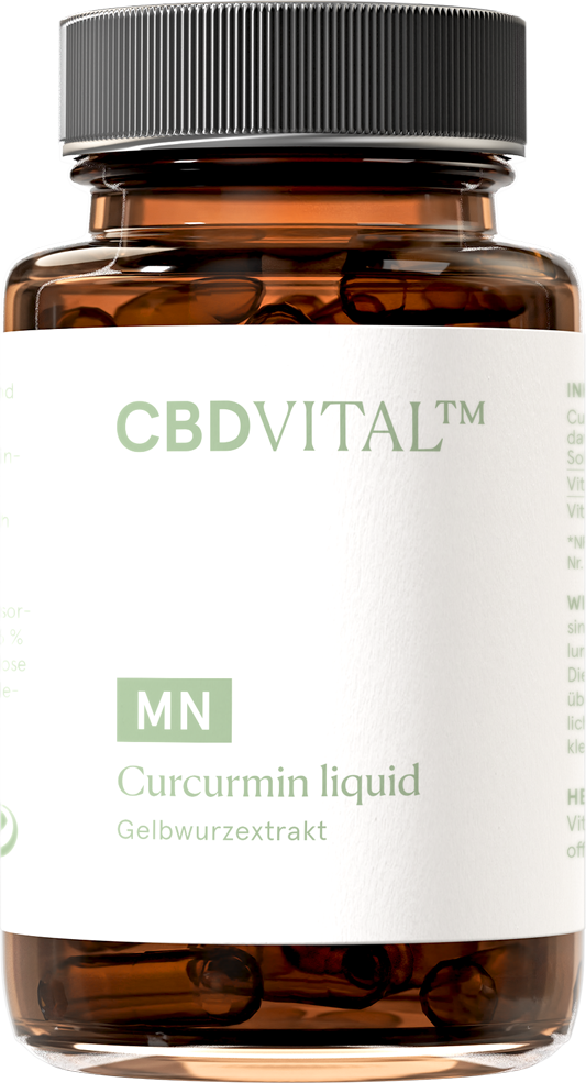 CBD VITAL Curcumin liquid 60 Stück