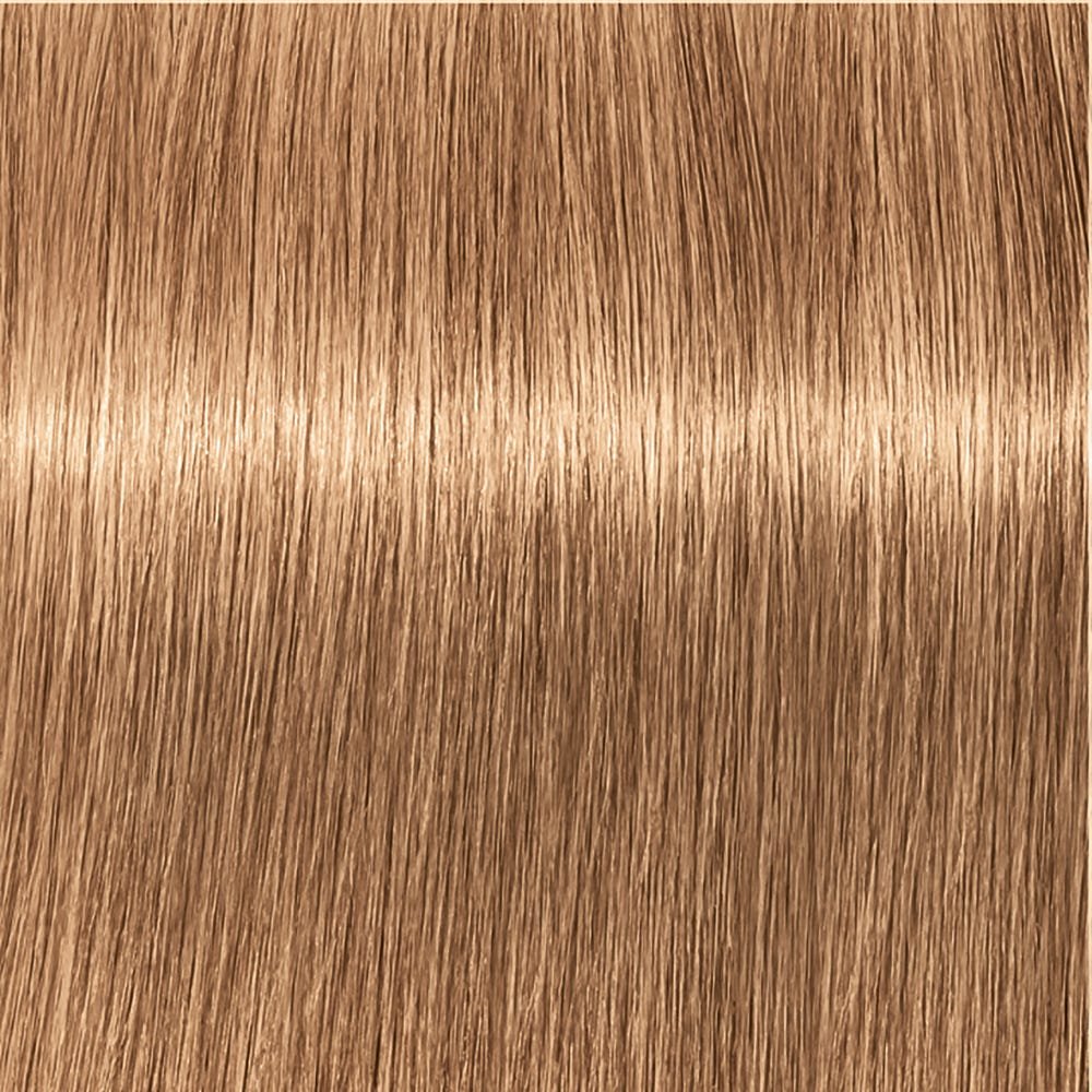Schwarzkopf Igora Royal 8-65 Hellblond Schoko Gold