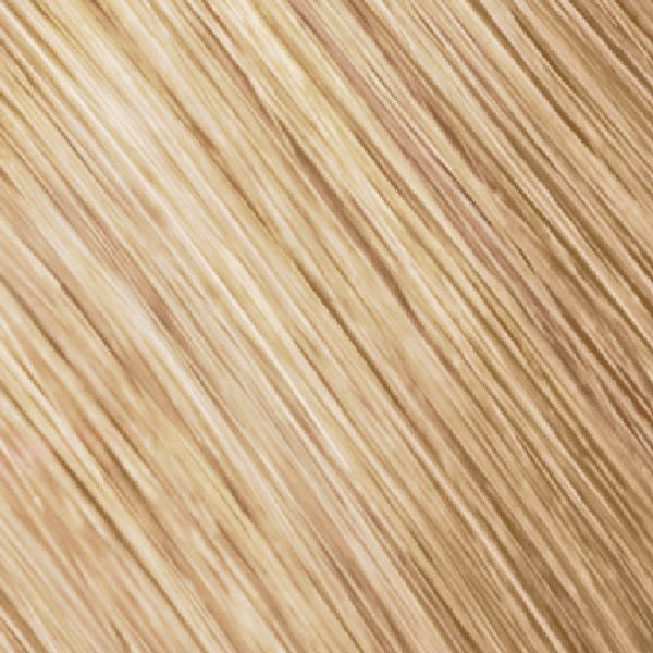 Goldwell Topchic Haarfarbe 10 GB saharablond pastellblond
