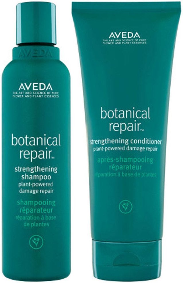 AVEDA Botanical Repair Pflegeduo