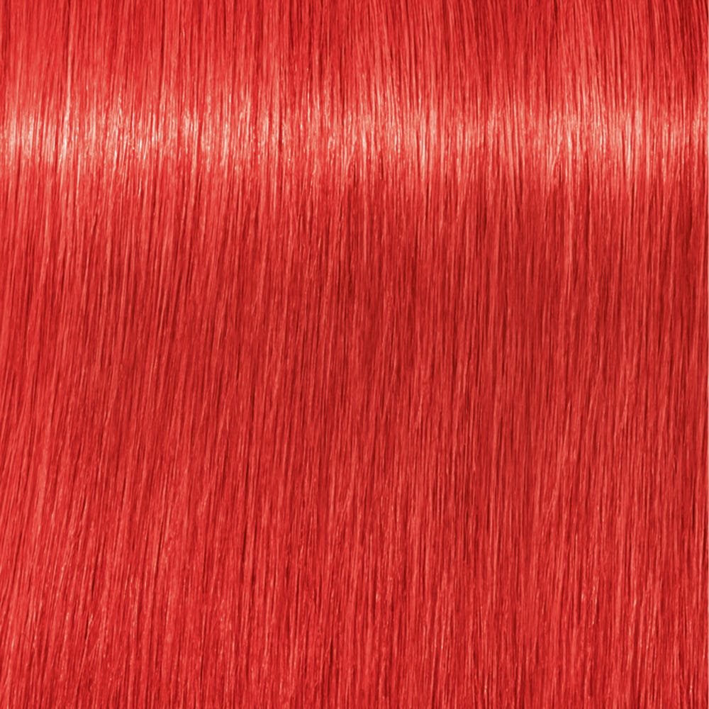 Thumbnail - Schwarzkopf Igora Royal 0-88 Rot Konzentrat