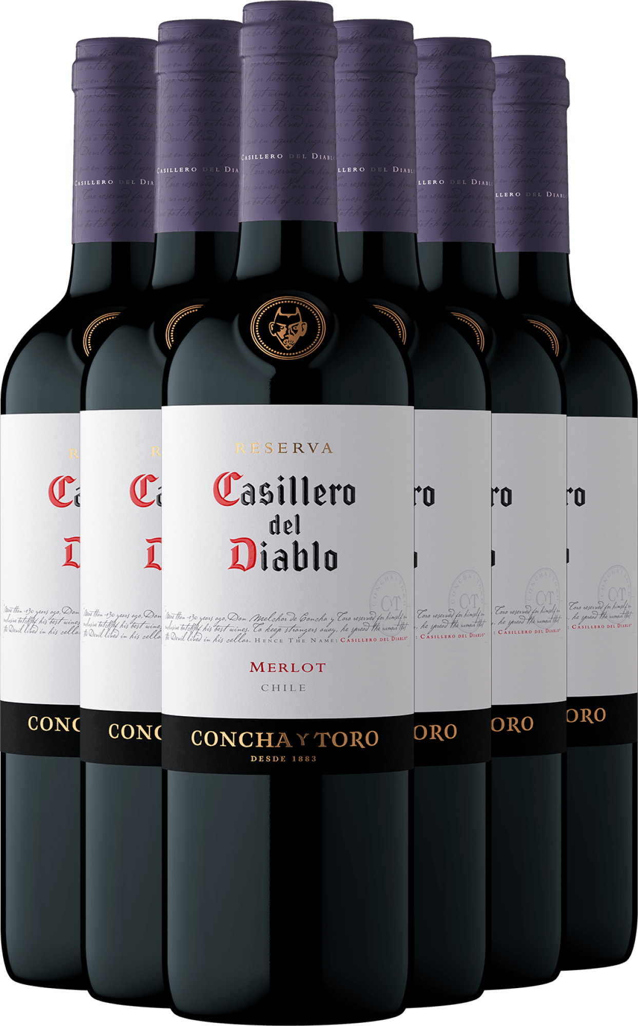 2023 Casillero del Diablo Reserva Merlot im 6er-Vorratspaket