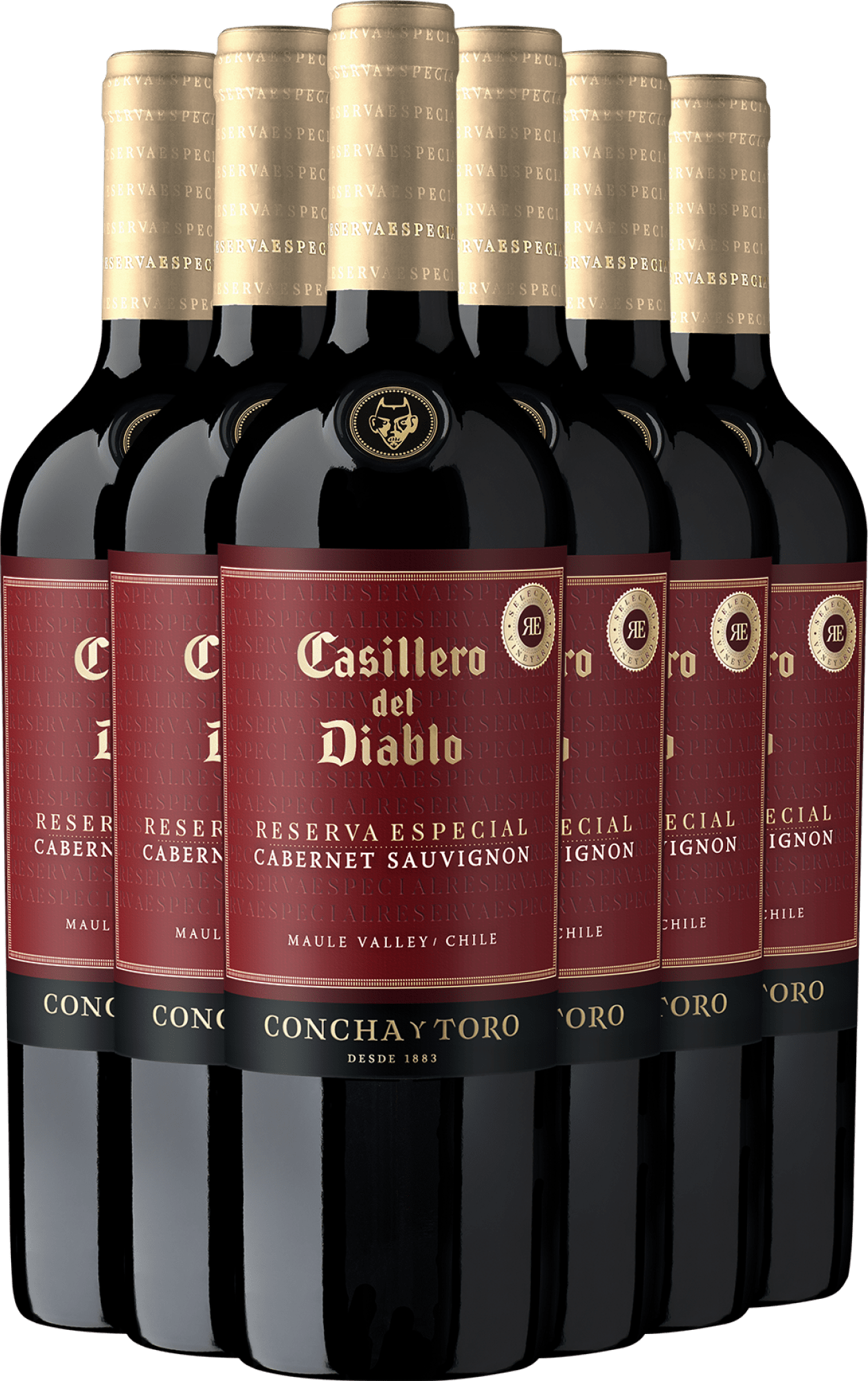 2024 Casillero del Diablo Reserva Especial Cabernet Sauvignon im 6er-Vorratspaket