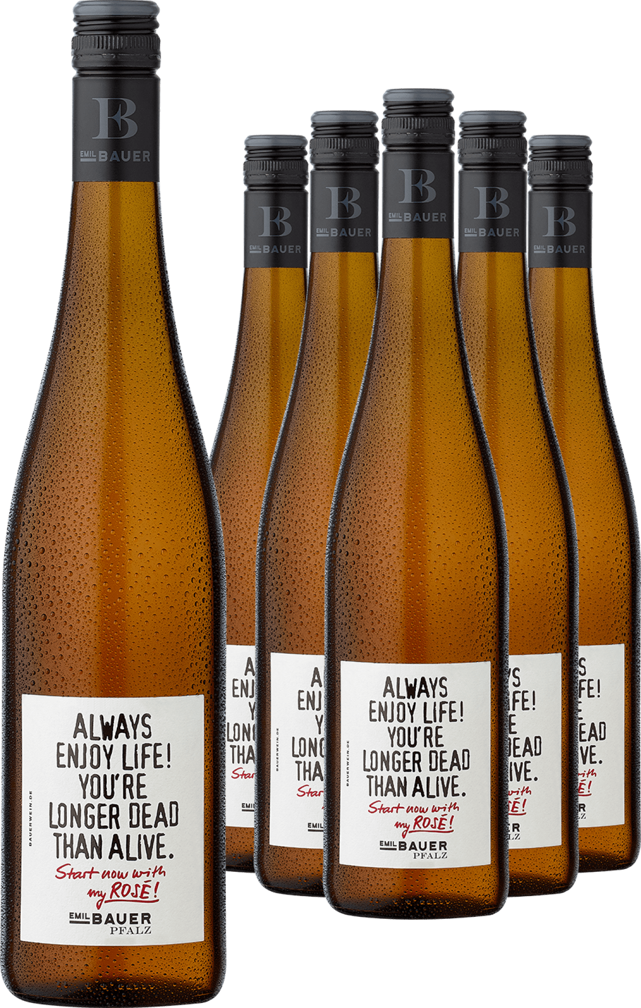 5+1-PAKET Emil Bauer »Always enjoy life...« Pinot Noir Rosé 2024