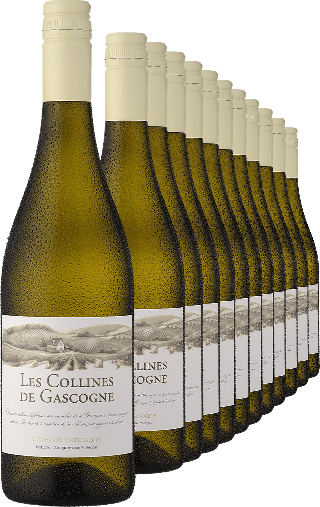 2024 »Les Collines de Gascogne« Blanc im 12er-Vorratspaket