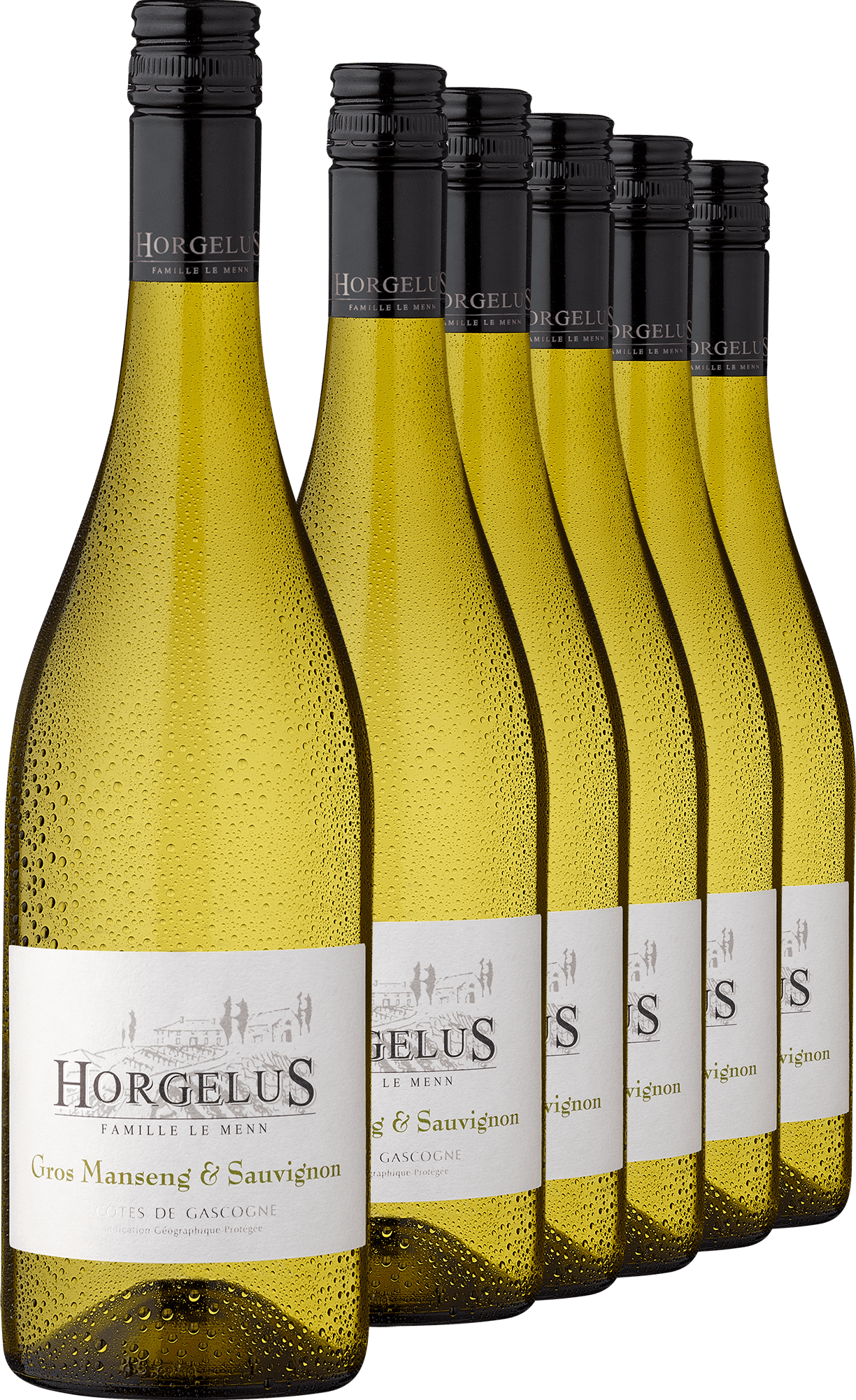 2024 Horgelus Gros Manseng & Sauvignon im 6er-Vorratspaket