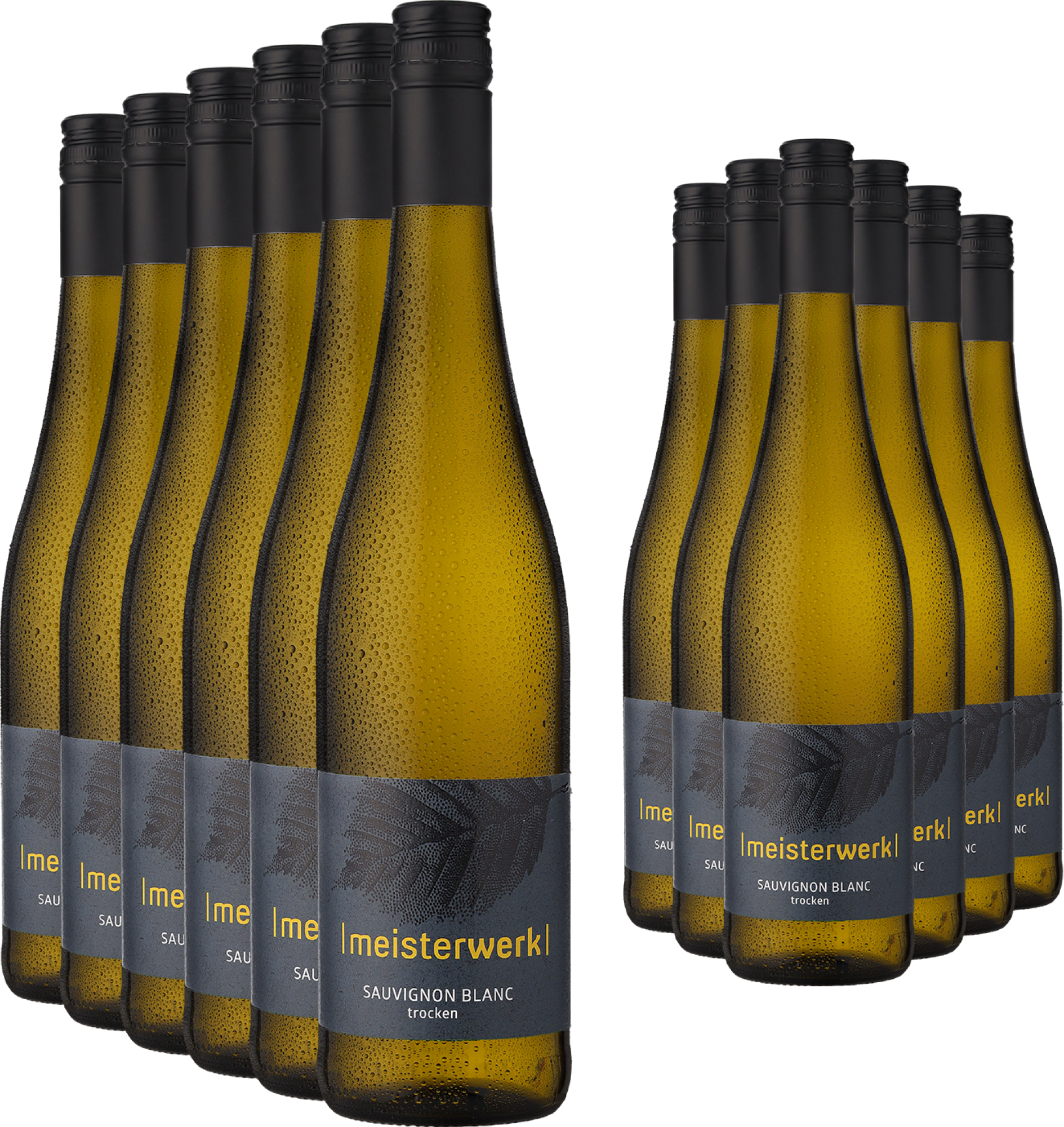 6+6-PAKET Espenhof »Meisterwerk« Sauvignon Blanc 2024