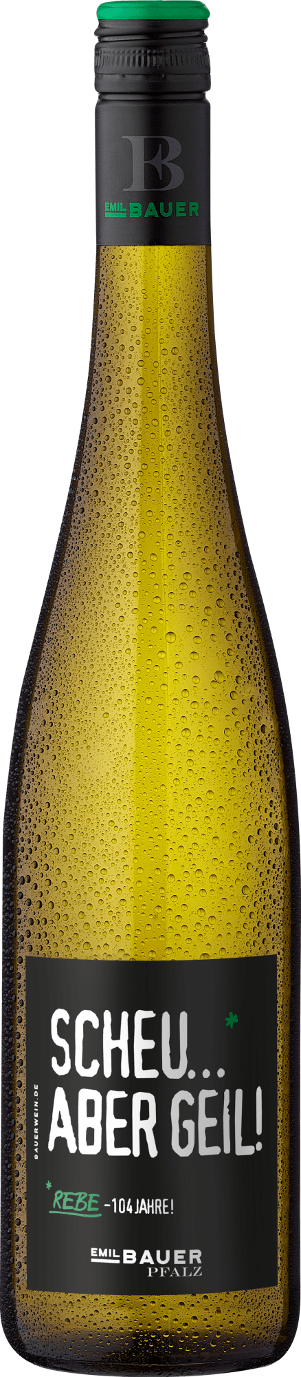 Emil Bauer »Scheu aber geil«