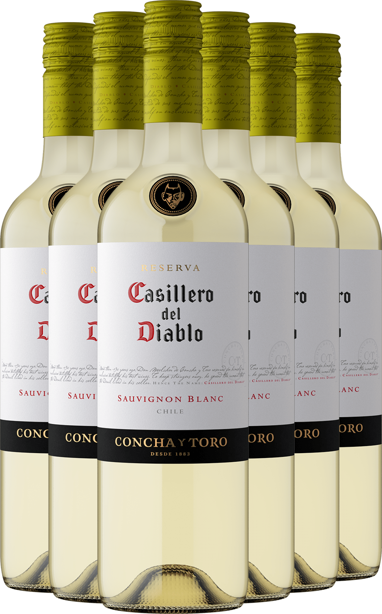 2025 Casillero del Diablo Reserva Sauvignon Blanc im 6er-Vorratspaket