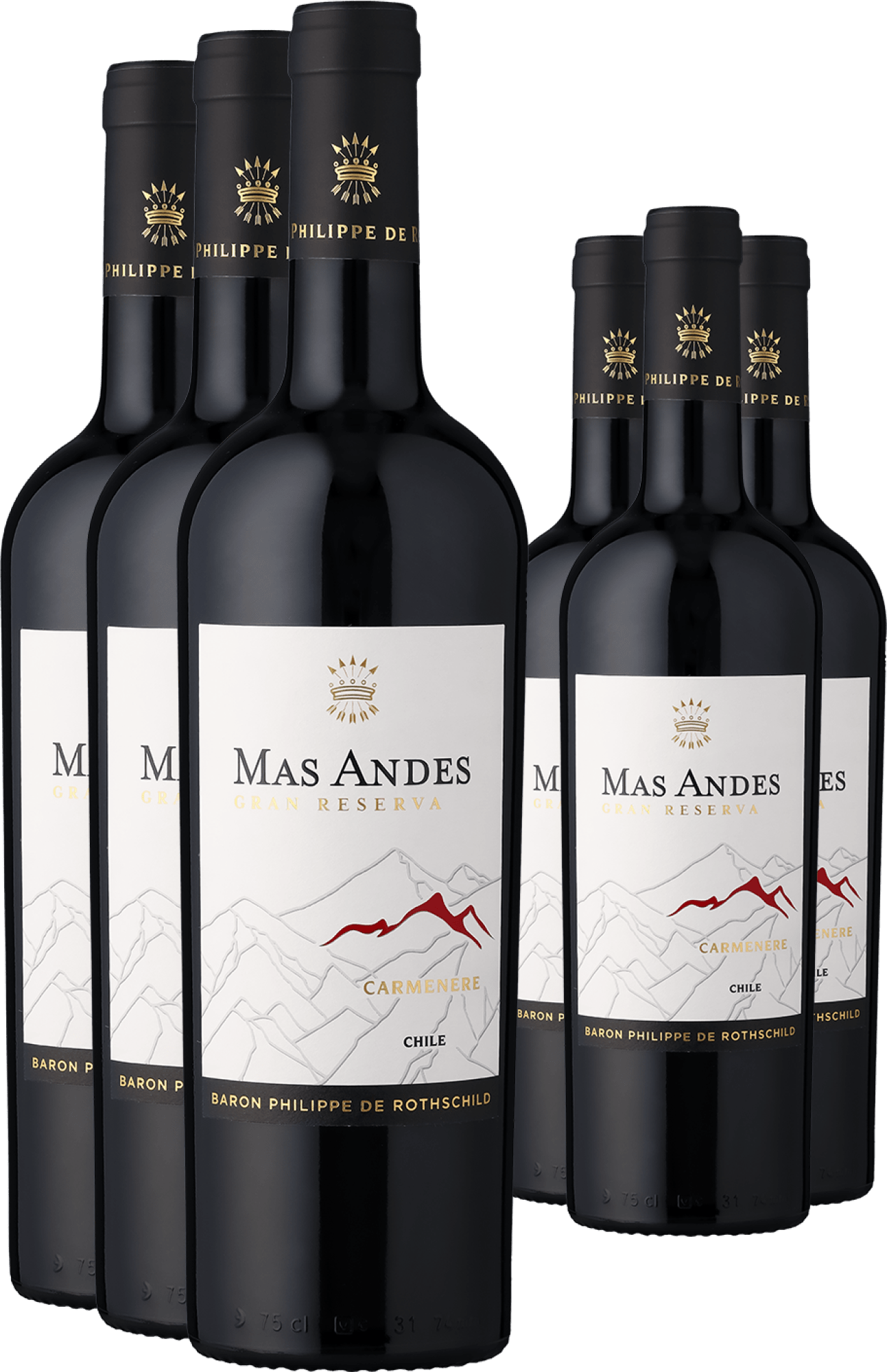 3+3-PAKET Rothschild Mas Andes Gran Reserva Carménère 2023