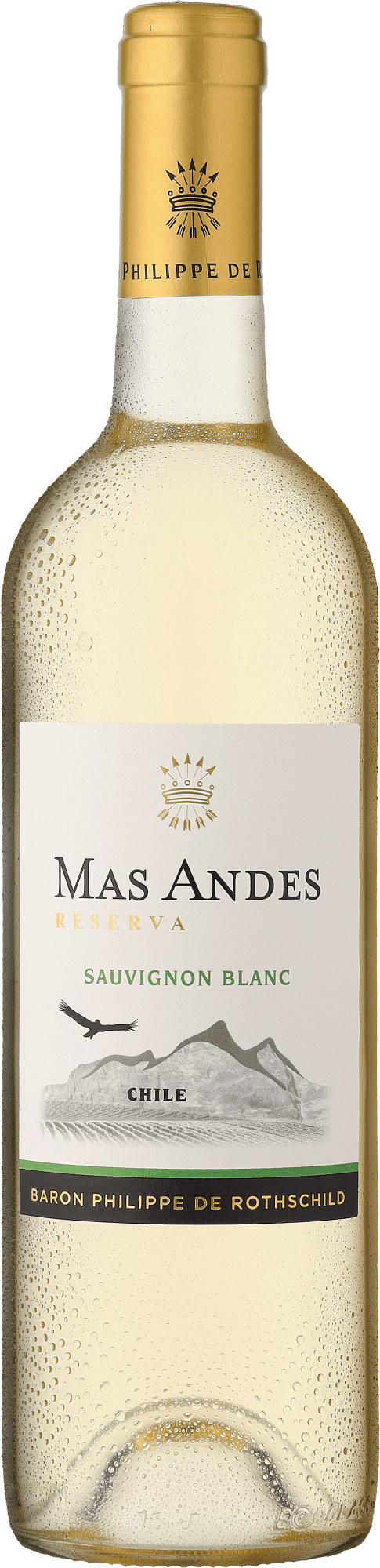 Thumbnail - Rothschild Mas Andes Reserva Sauvignon Blanc