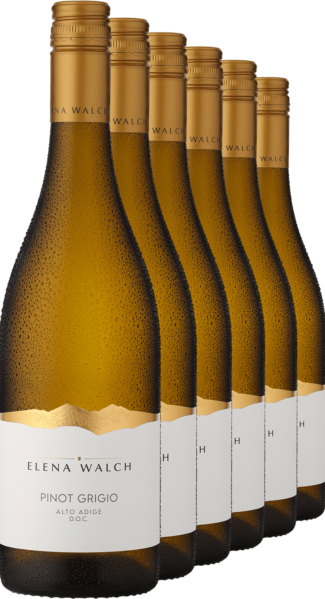 2024 Elena Walch Pinot Grigio im 6er-Vorratspaket