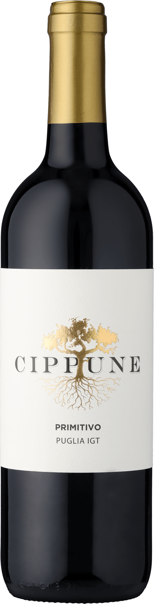 Thumbnail - Cippune Primitivo