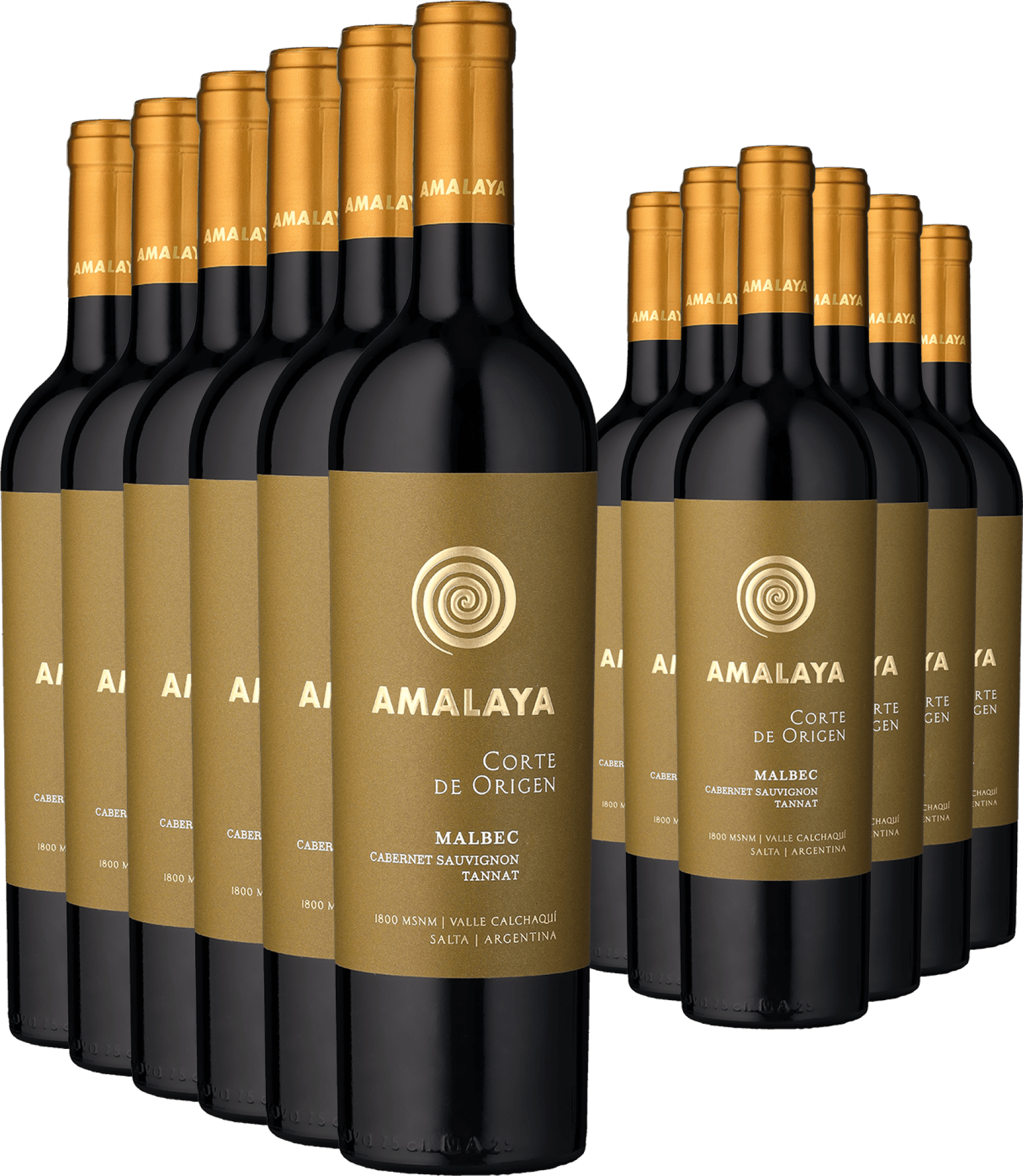 6+6-PAKET Amalaya »Corte de Origen« 2024