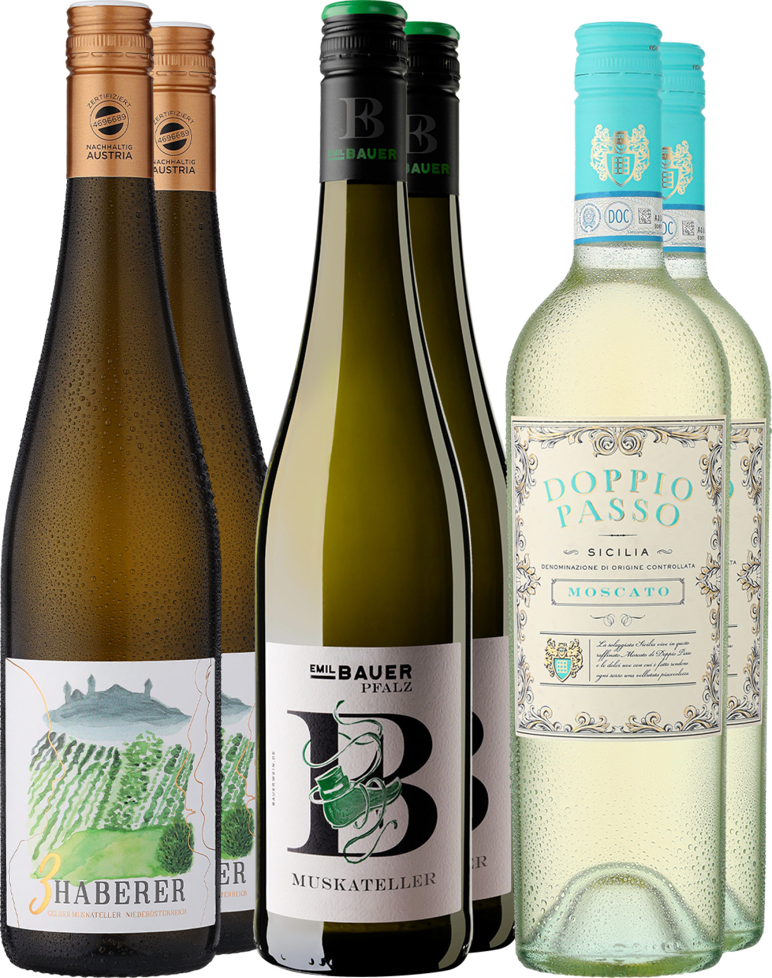 6er-Probierpaket »Muskateller-Momente«