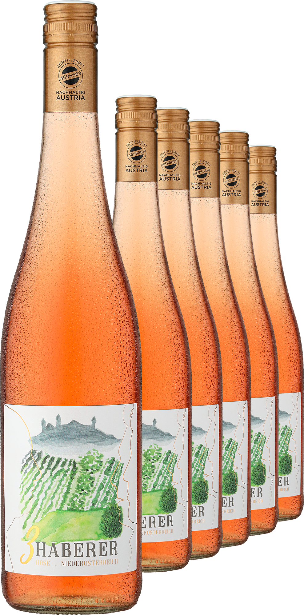 2024 »3 Haberer« Rosé im 6er-Vorratspaket
