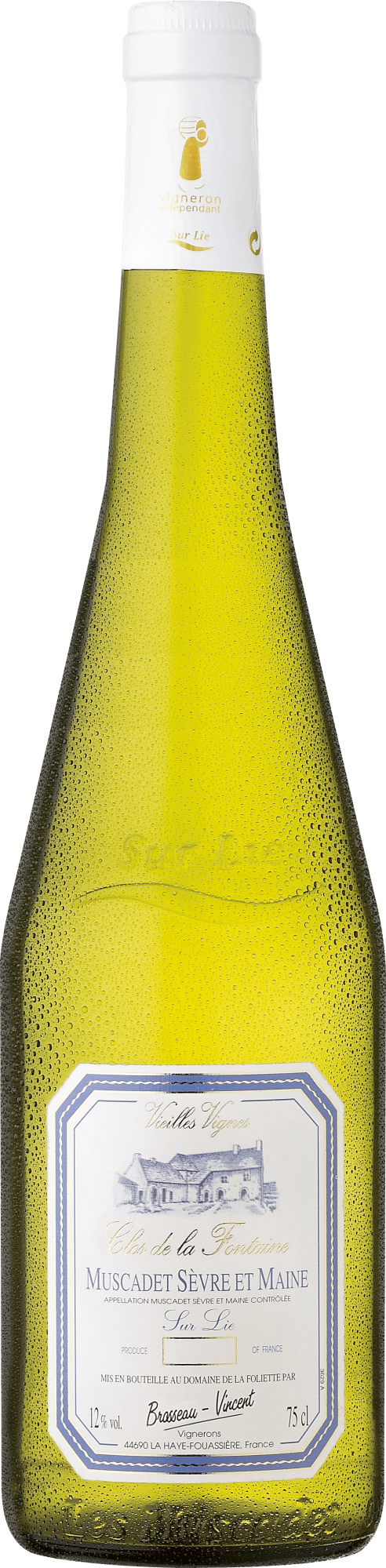 Clos de la Fontaine Muscadet Sèvre et Maine Sur Lie