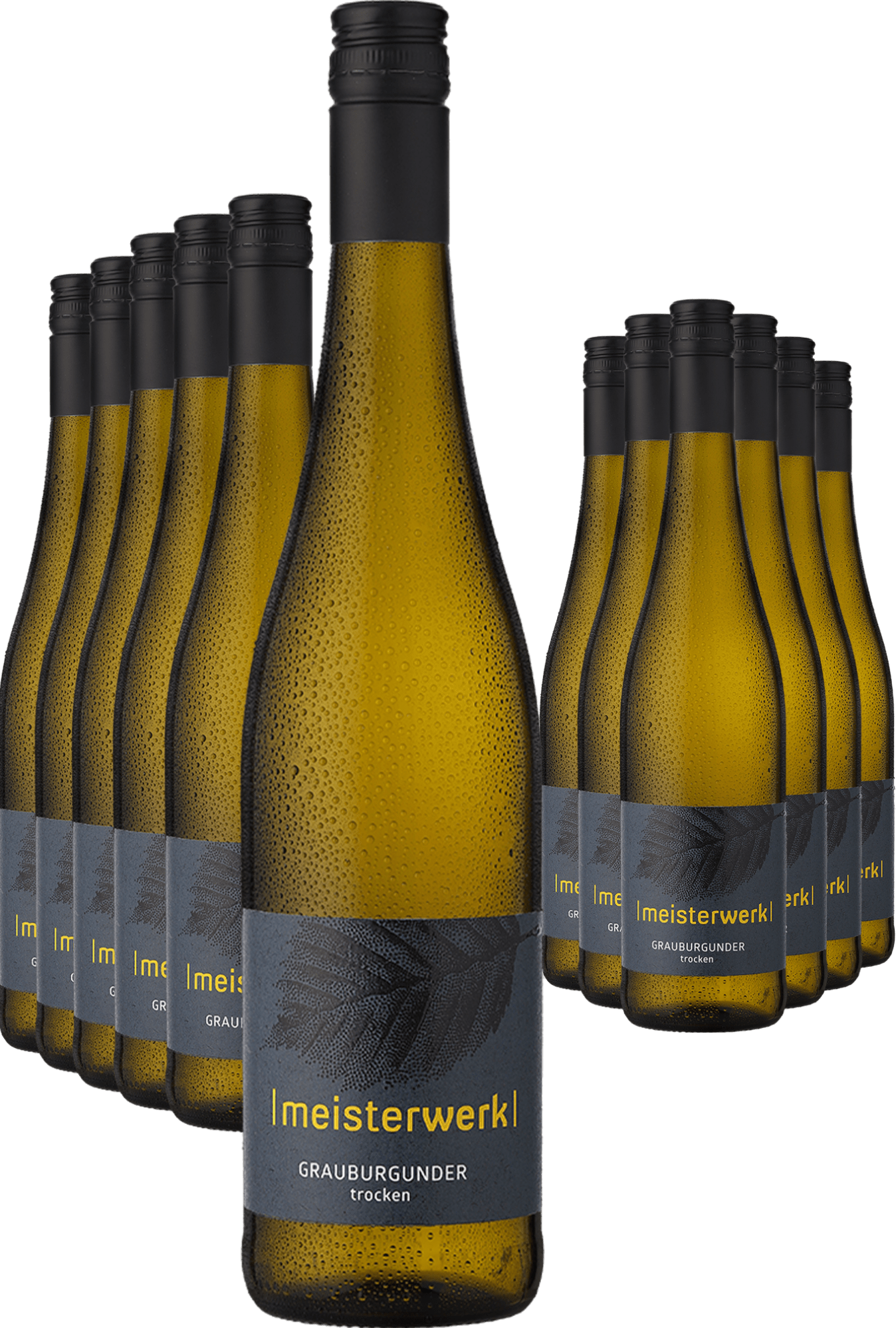6+6-PAKET Espenhof »Meisterwerk« Grauburgunder 2024
