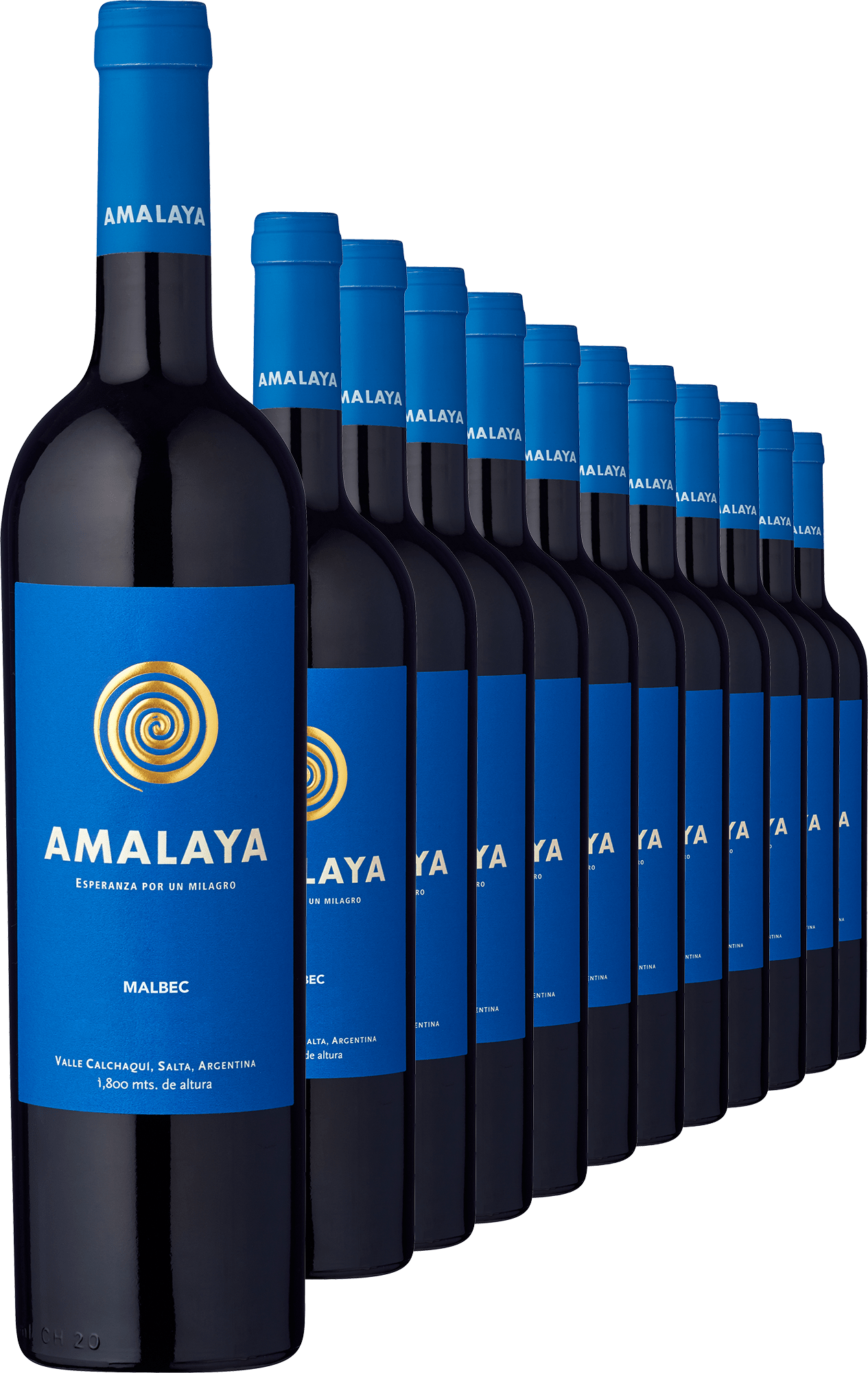 2024 Amalaya im 12er-Vorratspaket