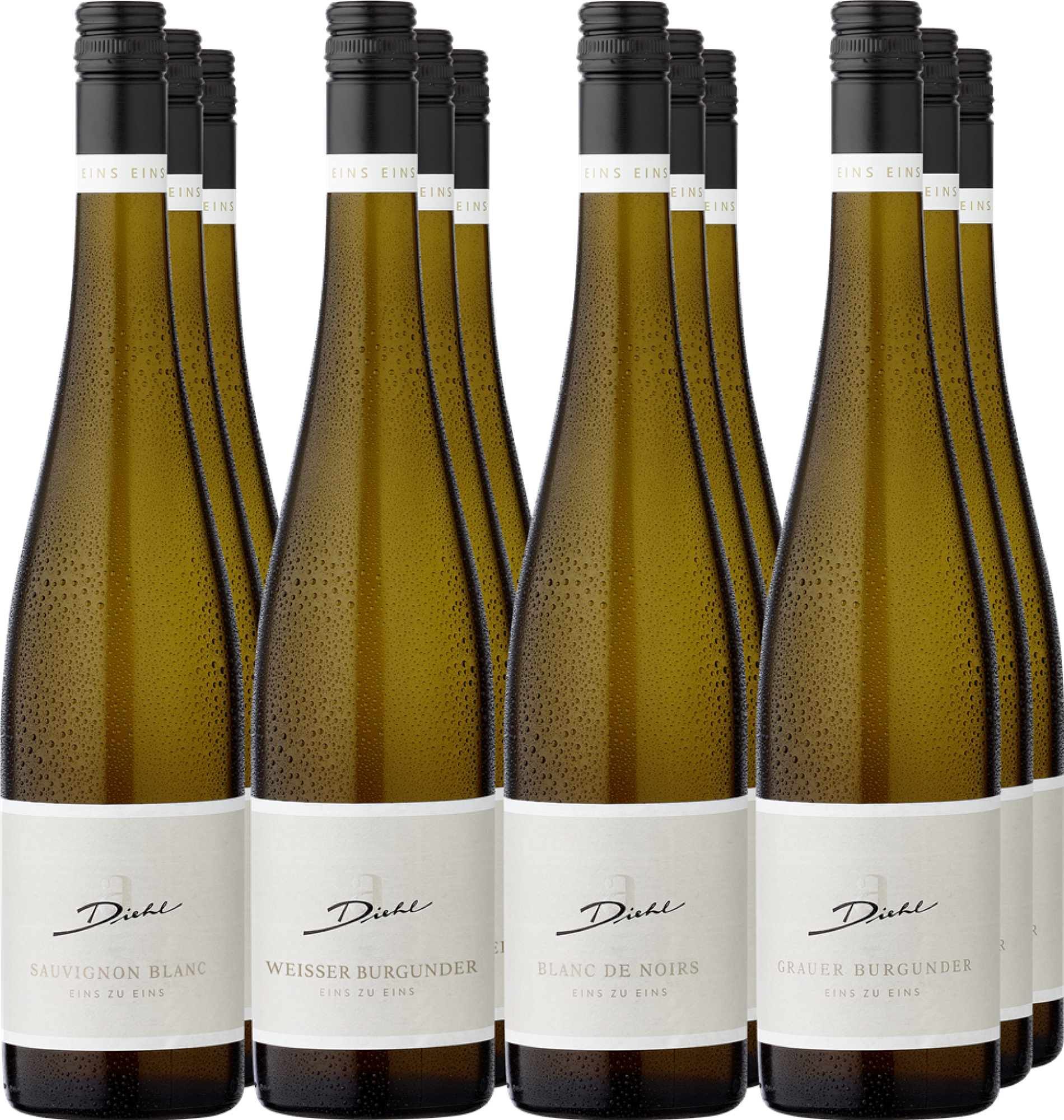 12er-Probierpaket »Weingut A. Diehl«