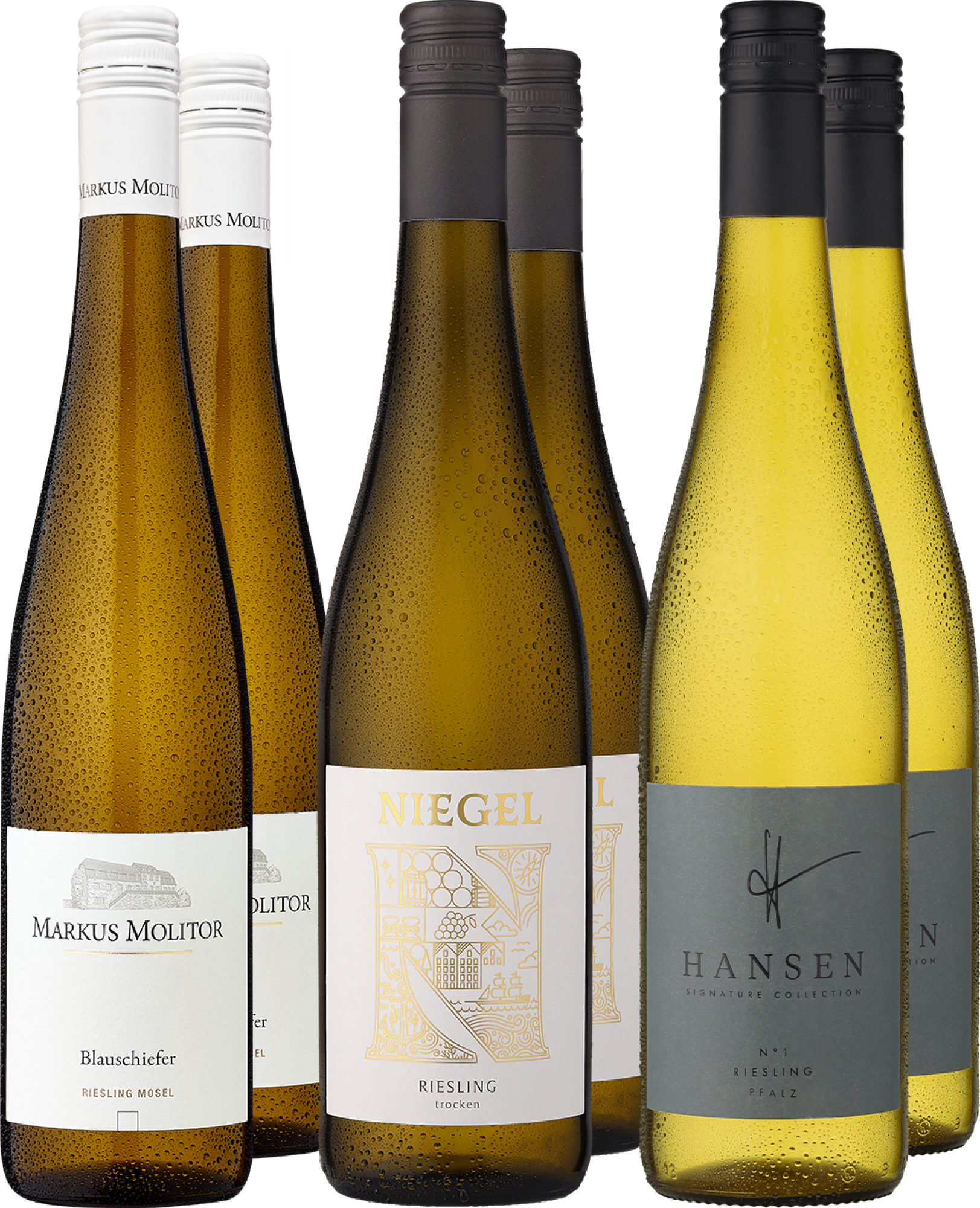 6er-Probierpaket »Best of Riesling«