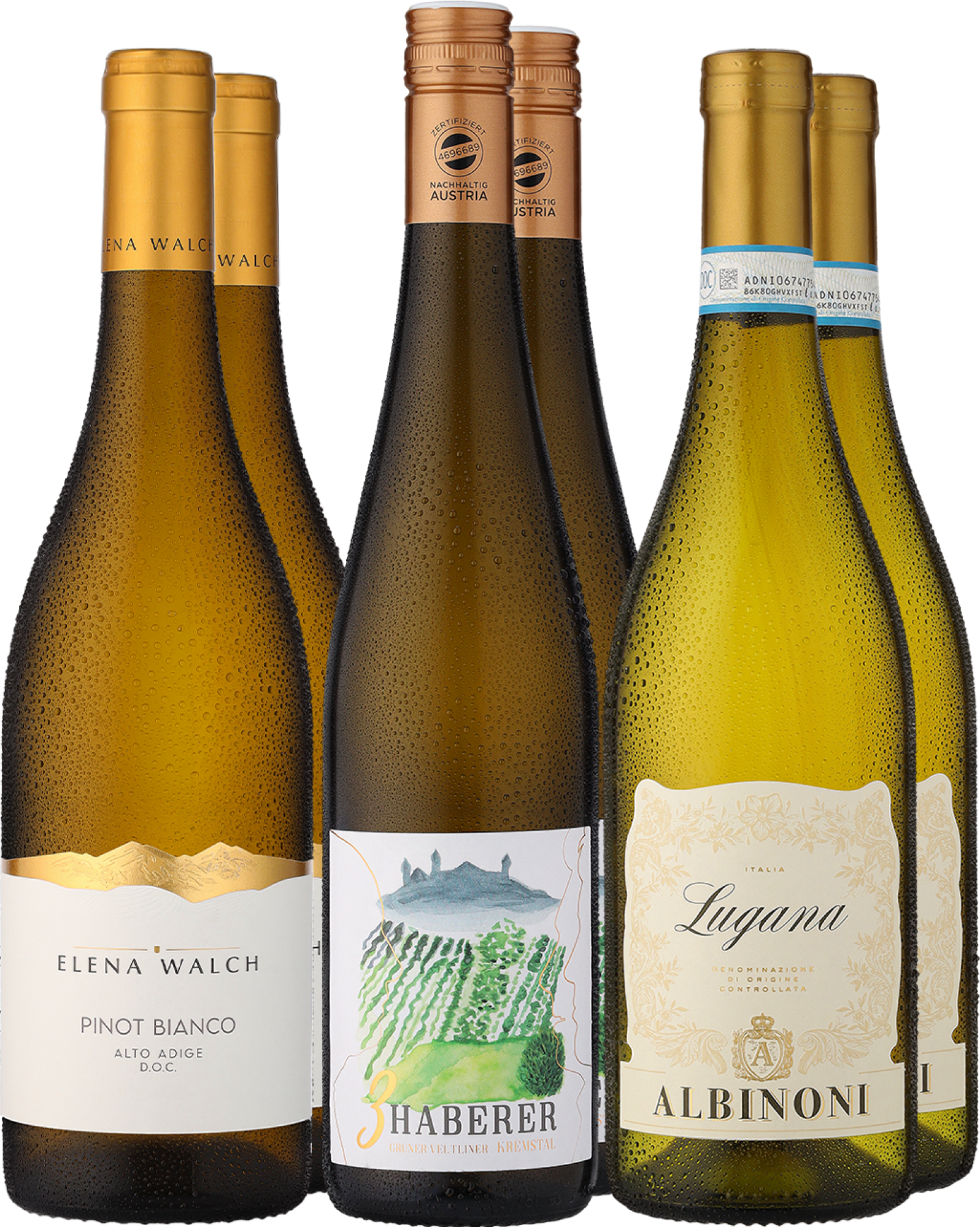 6er-Probierpaket »Alpenfrische Weißweine«