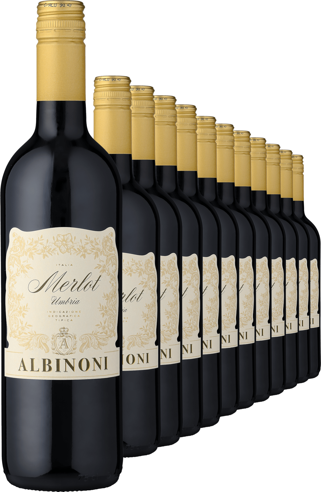 2024 Albinoni Merlot im 12er-Vorratspaket