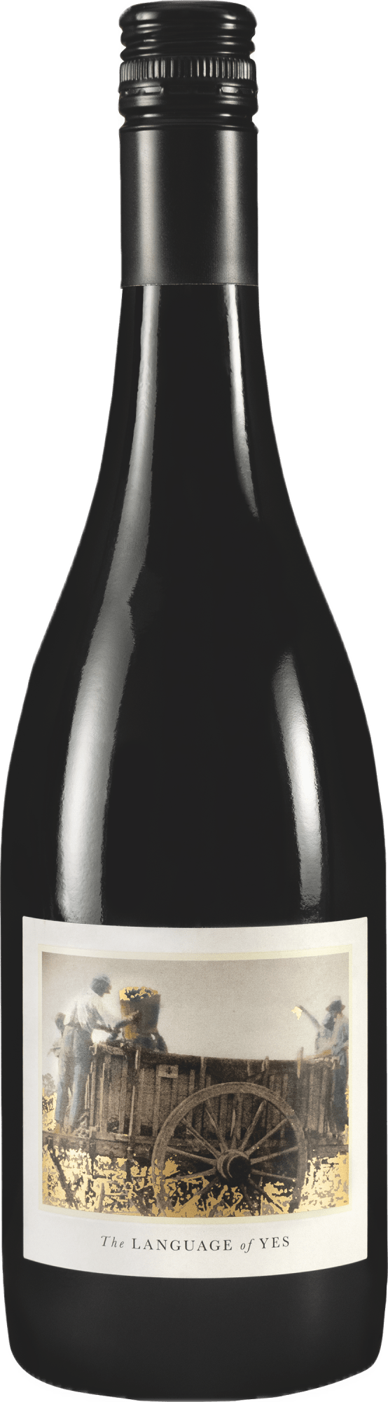 The Language of Yes Syrah