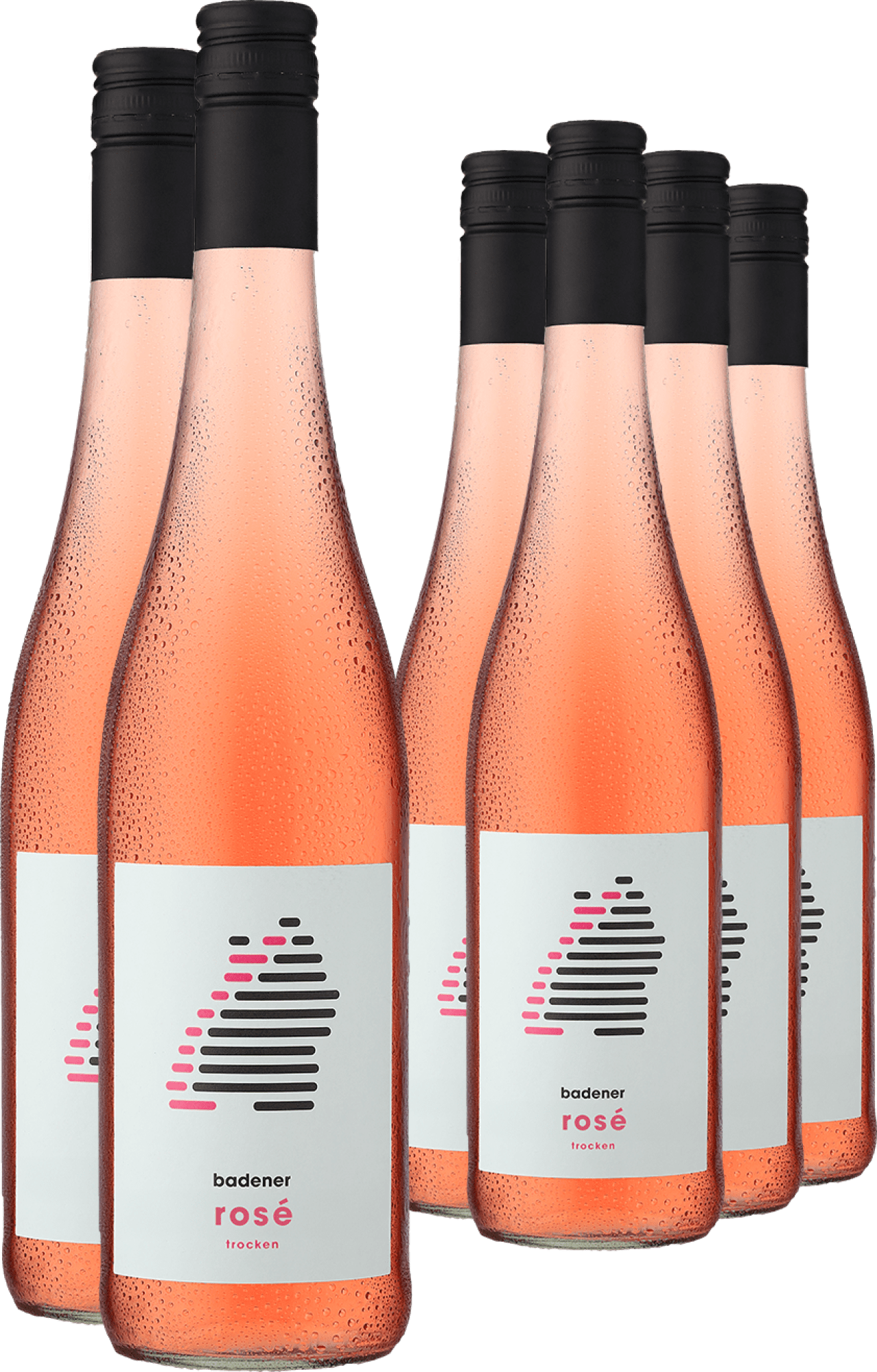4+2-PAKET badener Rosé 2024